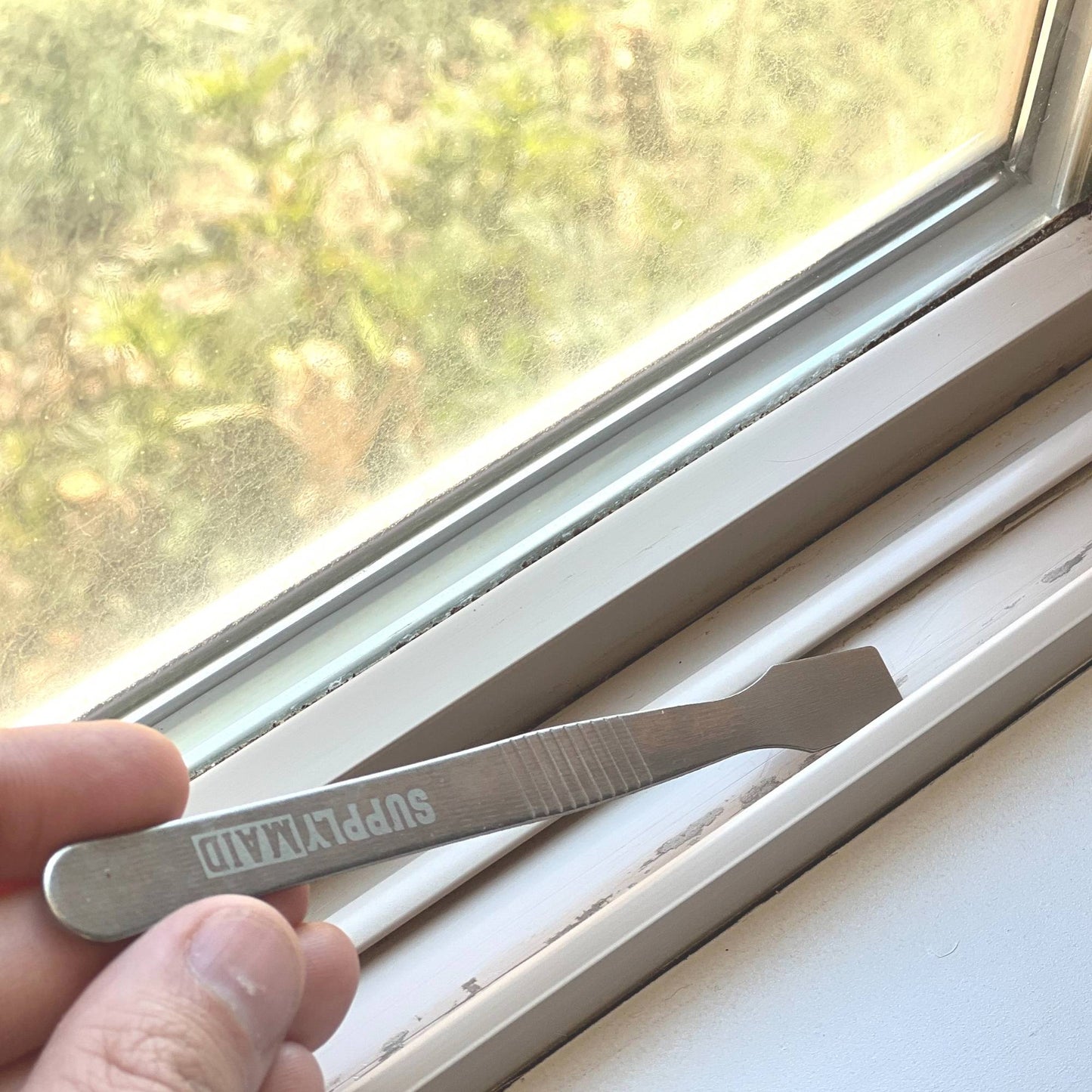 Mini grattoir de détail en acier inoxydable