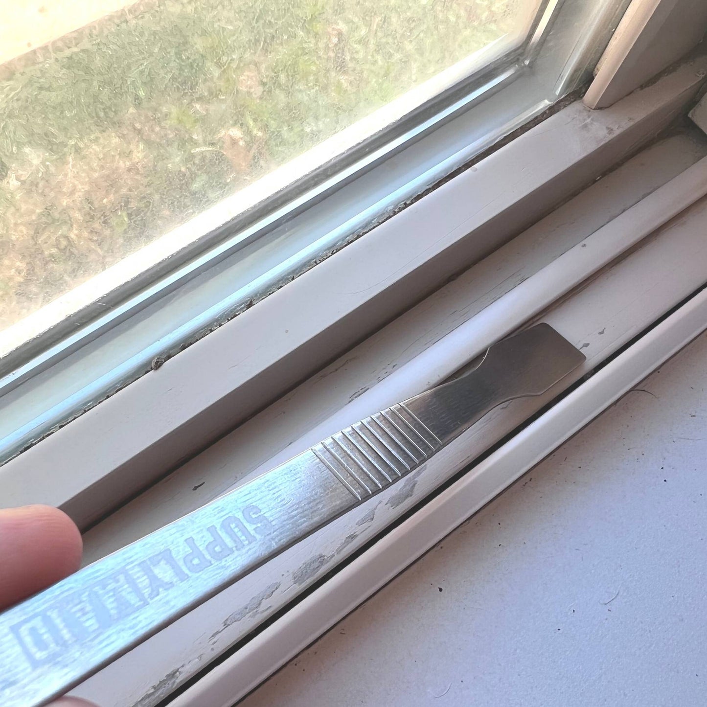 Mini grattoir de détail en acier inoxydable