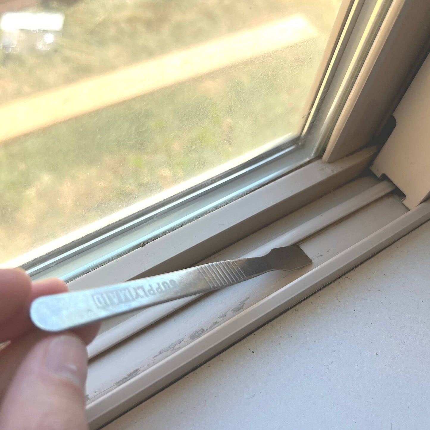 Mini grattoir de détail en acier inoxydable